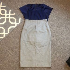 Express Pencil Skirt